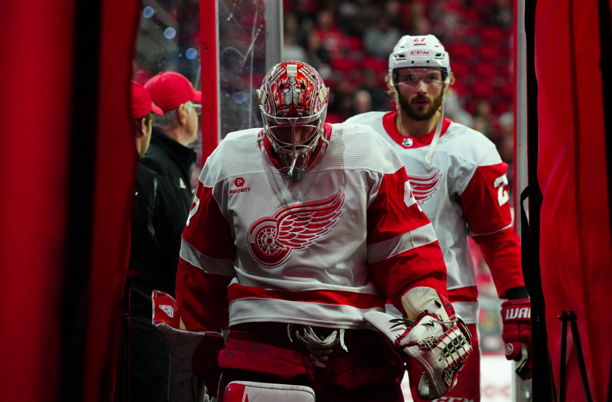 SAD NEWS: I am still bitter and blame myself for Wings playoff setback