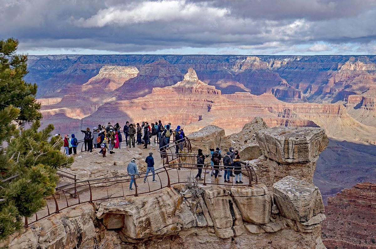 Tragic Incident in Grand Canyon National Park: Three Lives Lost to Wildlife Attack…