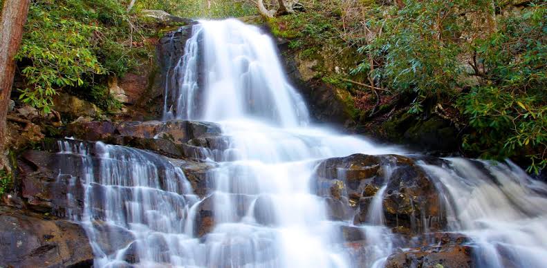 In a tragic turn of events, a dead body has been found in Smoky Mountains