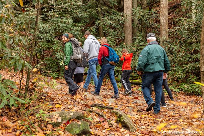 Just In: Smoky mountain has Just Announced Re-park Opening date…